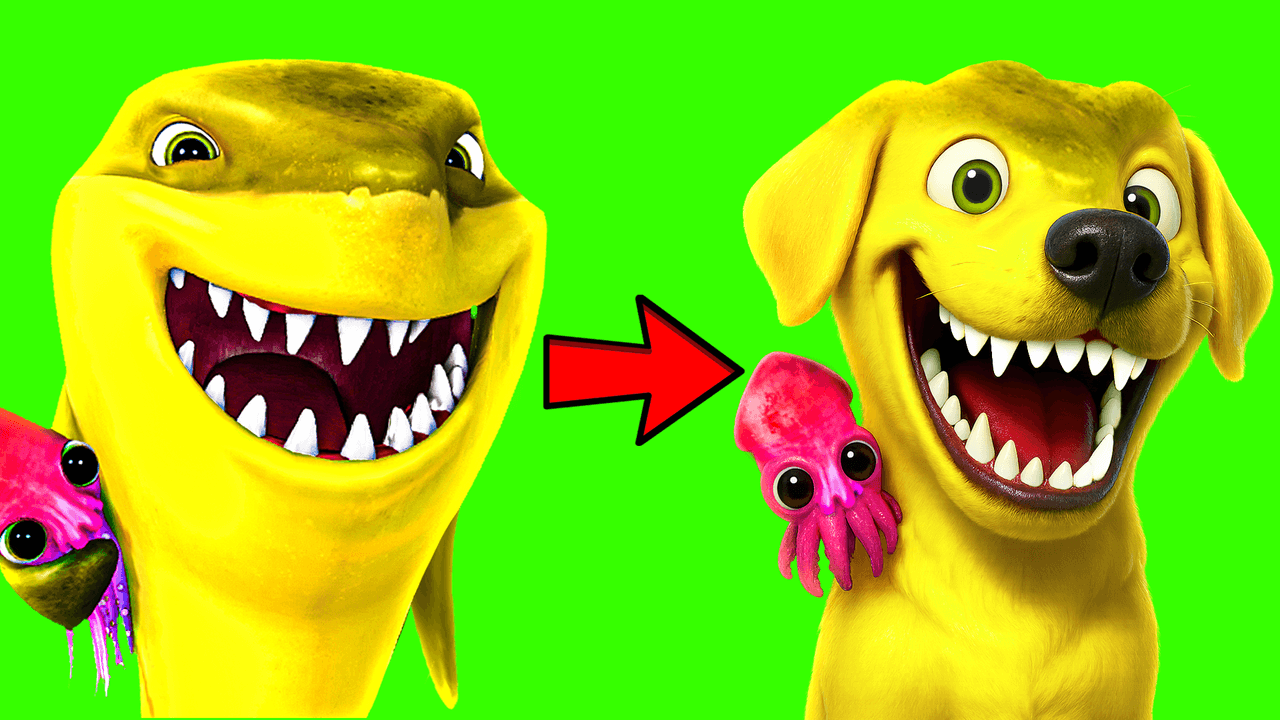 IRL & Entertainment thumbnail 09